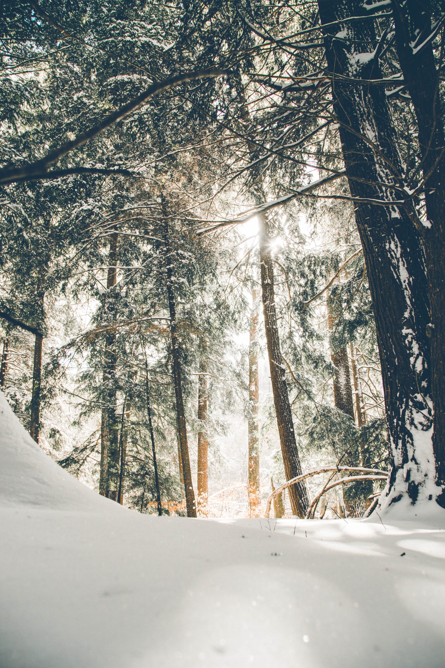 Polska - Tatry