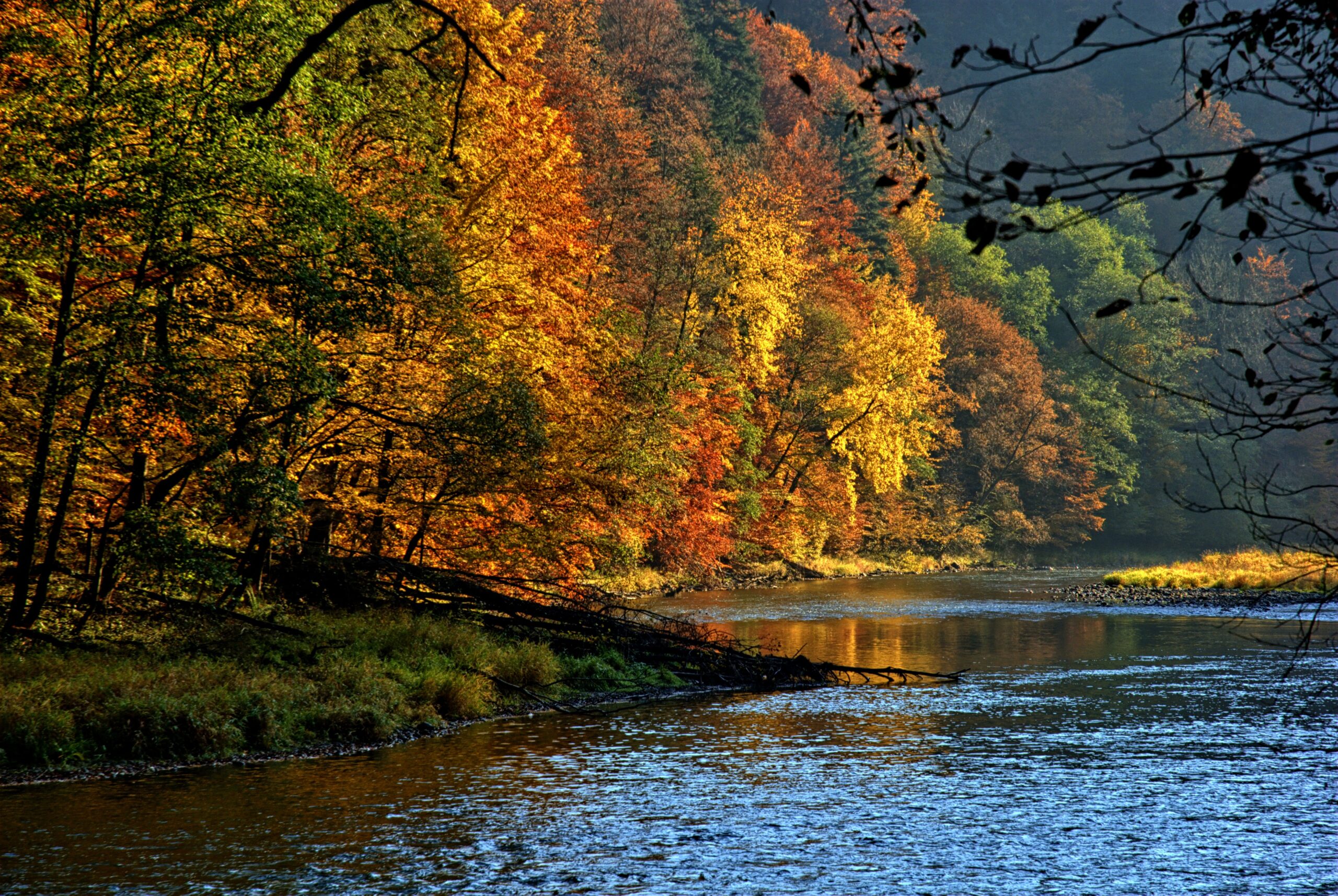 Polska - Pieniny