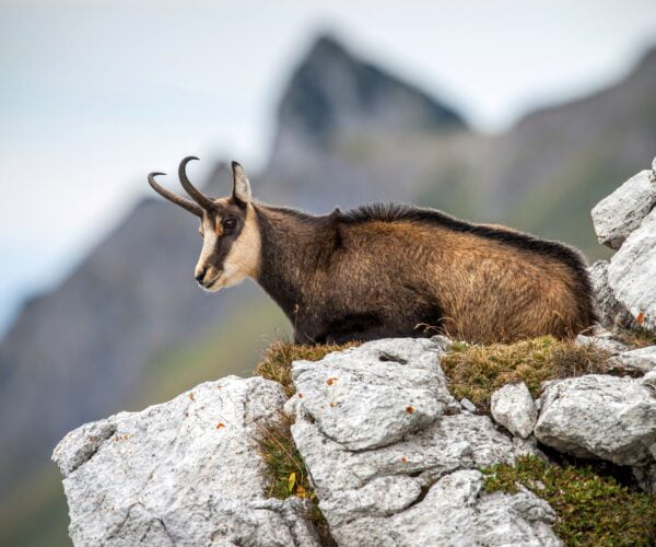 Polska - Tatry